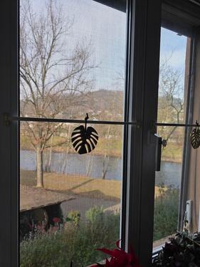 Foto - 3 Zimmer Etagenwohnung in Lörrach