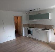 1-Zimmer Apartment - 530,00&nbsp;EUR Kaltmiete, ca.&nbsp; 28,00&nbsp;m&sup2; in Unterensingen (PLZ: 72669)