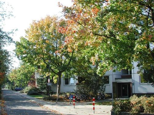 Foto - Hier fühlen Sie sich wohl! - 731,00&nbsp;EUR Kaltmiete, ca.&nbsp; 82,86&nbsp;m&sup2;