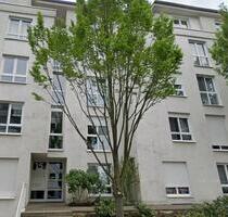 Helle Wohnung 2 Zimmer 68,7 m² Wiesbaden Rudolfstr.