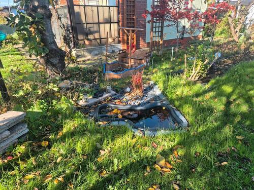 Foto - Grundstück zur Miete in Schwerin