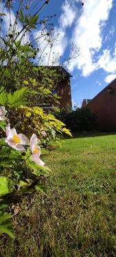 Foto - REH 75 m²WF+40 m² NF, renoviert 24, Vollkeller, Garage, Garten