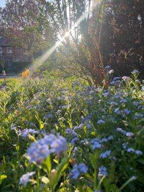 Foto - 3 Zimmer Einfamilienhaus zum Kaufen in Lüneburg