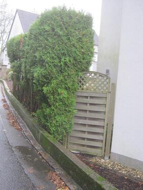 Foto - 2 Zimmer Etagenwohnung zur Miete in Bochum