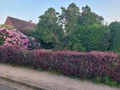 Foto - Einfamilienhaus in Heide zum Kaufen