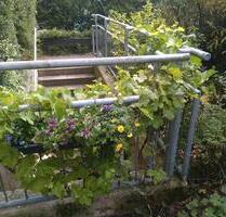 3 Zimmer Erdgeschosswohnung mit Gartenterasse - Aachen Aachen-Mitte