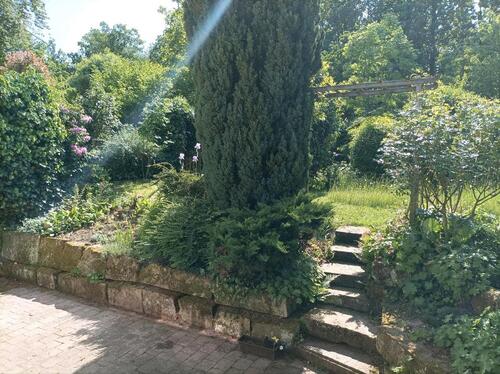 Foto - Etagenwohnung in Pfedelbach zur Miete