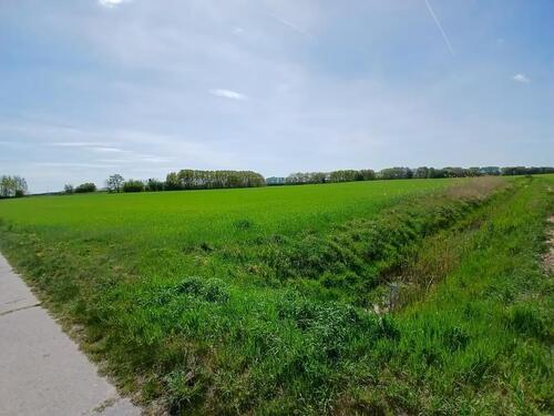 Foto - WeideAckerland - 1.000,00&nbsp;EUR Kaltmiete, ca.&nbsp; 0,00&nbsp;m&sup2;