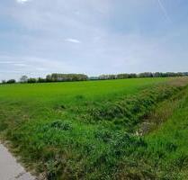 WeideAckerland - 1.000,00&nbsp;EUR Kaltmiete, ca.&nbsp; 0,00&nbsp;m&sup2; in Marl (PLZ: 45770) Alt-Marl