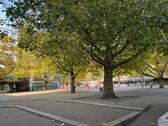 Foto - Etagenwohnung in Hannover