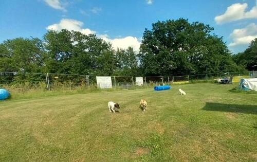 Foto - Ferienhaus im Sauerland 4 Personen, Hund(e) kostenlos