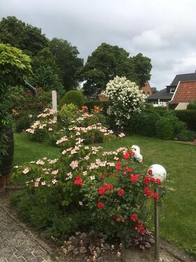 Foto - 6 Zimmer Einfamilienhaus in Warendorf