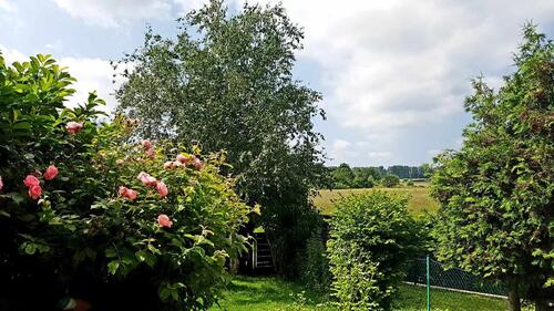 Foto - 6 Zimmer Einfamilienhaus zum Kaufen in Dietzenbach