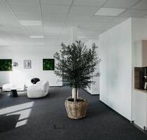 270 m² Bürofläche + 130 m² Dachterrasse – Erstbezug-Niveau - Detmold Hakedahl