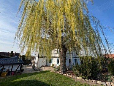 Foto - 5 Zimmer Einfamilienhaus zum Kaufen in Salzgitter