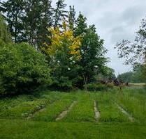 Wald- und Freizeitgrundstück - 250,00&nbsp;EUR Kaltmiete, ca.&nbsp; 0,00&nbsp;m&sup2; in Olching (PLZ: 82140)