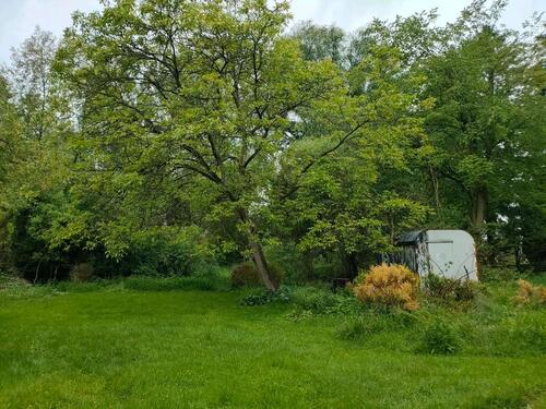 Foto - Grundst&uuml;ck zur Miete in Olching