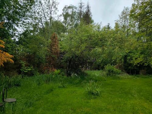 Foto - Grundst&uuml;ck in Olching