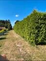 Foto - Einfamilienhaus in Surwold