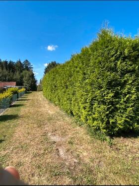Foto - Einfamilienhaus in Surwold