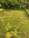 Foto - 3 Zimmer Hochparterre zum Kaufen in Wiesbaden