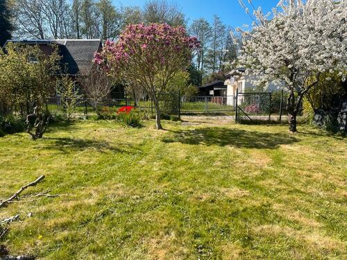 Foto - 2 Zimmer Bungalow zum Kaufen in Prohn