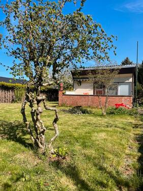 Foto - 2 Zimmer Bungalow in Prohn