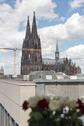 Foto - andere in Köln zur Miete
