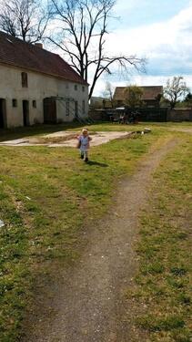 Foto - 10 Zimmer Bauernhaus, Landhaus zum Kaufen in Mühlberg/Elbe