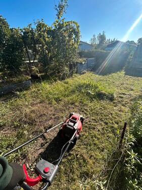 Foto - Grundstück zur Miete in Schwedt (Oder)