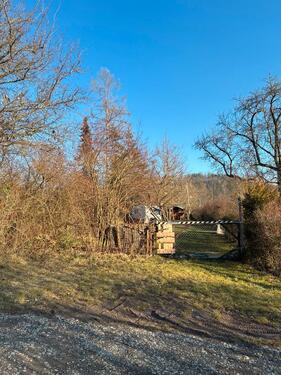 Foto - Garten mit komfortabler Freizeit hütte und mehr Leonberg