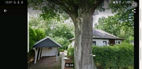Foto - Haus mit Naturschutzdenkmal in Hamburg Hummelsbüttel