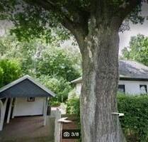 Haus mit Naturschutzdenkmal in Hamburg Hummelsbüttel - Bargfeld-Stegen
