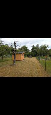 Foto - Freizeitgrundstück, Gartengrundstück, Oeffingen