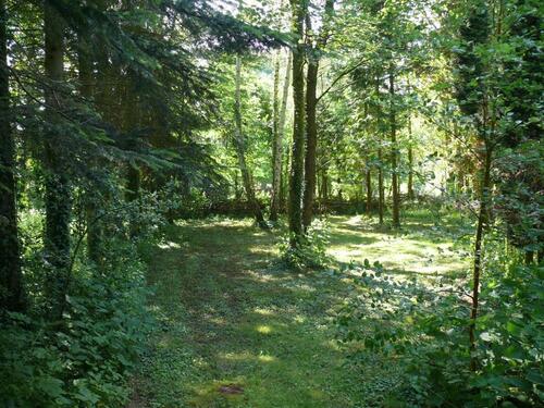 Foto - andere zur Miete in Lensahn