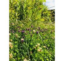 Einfamilienhaus mit Keller, Garage und Garten zu vermieten - Kötz