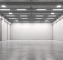 Lagerhalle mit Strom zur Miete - 1.525,00&nbsp;EUR Kaltmiete, ca.&nbsp; 10,00&nbsp;m&sup2; in Worms (PLZ: 67547)