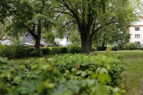 Foto - 2 Zimmer Hochparterre in Berlin