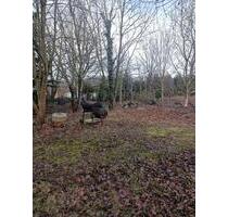 Fertighaus von Streif in gute Hände abzugeben. Leben auf dem Land - Alfter