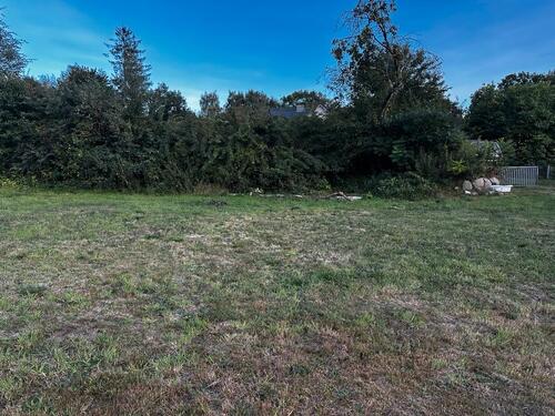 Foto - andere in Tangstedt