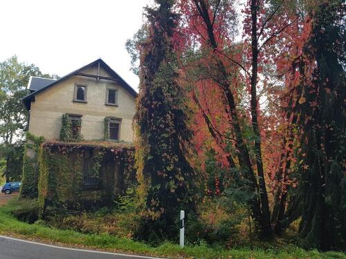 Foto - Einfamilienhaus in Doberschau-Gaußig zum Kaufen