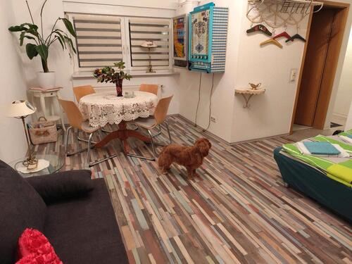 Foto - andere zur Miete in Rüdesheim am Rhein