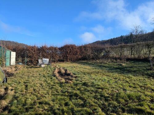 Foto - Garten Grundstück zu Verpachten