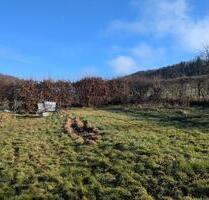 Garten Grundstück zu Verpachten - Sprockhövel