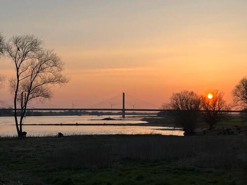 Foto - Ferienwohnung - Eine Auszeit am Rhein