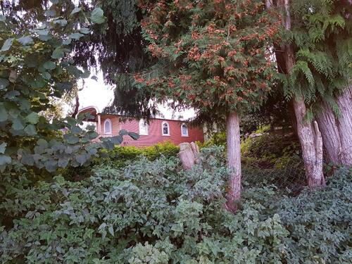 Foto - Zirkuswagen - 55.000,00&nbsp;EUR Kaufpreis,