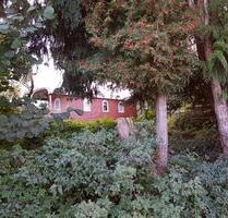 Zirkuswagen - 55.000,00&nbsp;EUR Kaufpreis, in Markt Wald (PLZ: 86865)