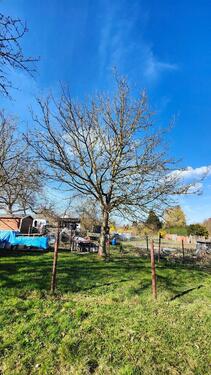 Foto - Grundst&uuml;ck in Mainhausen