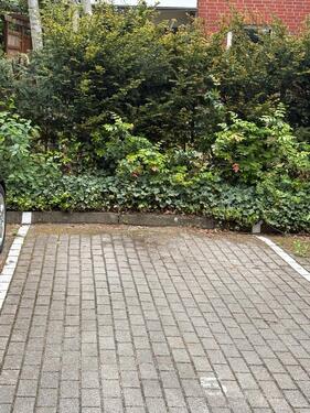 Foto - Parkplatz zu vermieten - 50,00&nbsp;EUR Miete,