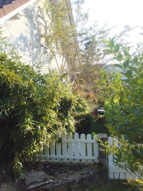 Foto - Einfamilienhaus in Hanau zum Kaufen